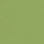 Silk Shantung - Green - 54" width